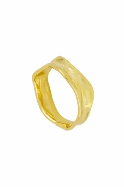 Anillo Serpiente Doble. Nuevo Diseño - THE NOOK STORE