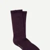 Calcetin golf CG06 Viola - The Nook Store
