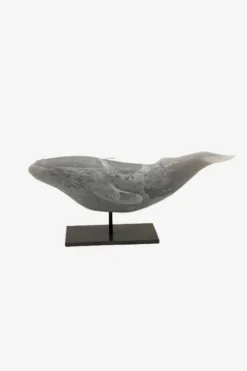 Vela Ballena - The Nook Store