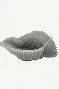 Vela caracola gris - The Nook Store