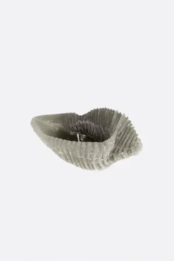 Vela caracola pequeña gris - The Nook Store