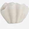 Vela concha blanca - The Nook Store