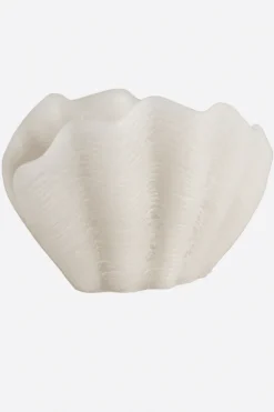 Vela concha blanca - The Nook Store