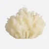 Vela coral natural - The Nook Store