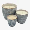 Vela garden citronella azul - The Nook Store