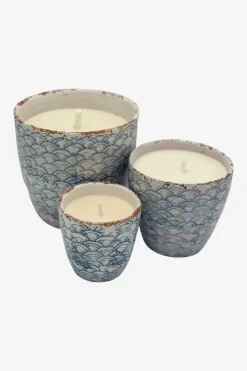 Vela garden citronella azul - The Nook Store